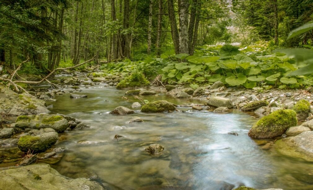 Koerper erden in der Natur für Mann und Frau.