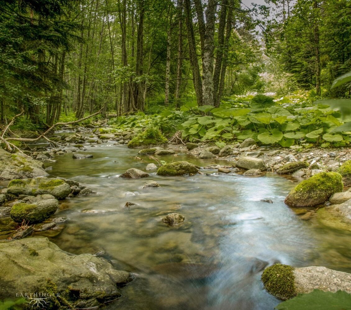 Koerper erden in der Natur für Mann und Frau.
