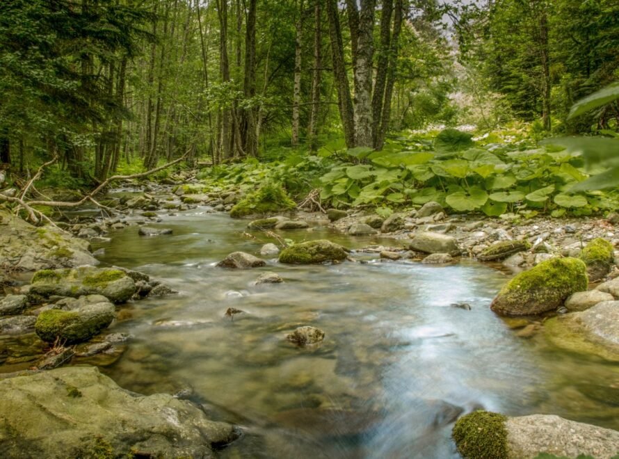 Koerper erden in der Natur für Mann und Frau.