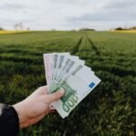 Geld Manifestieren erklärt