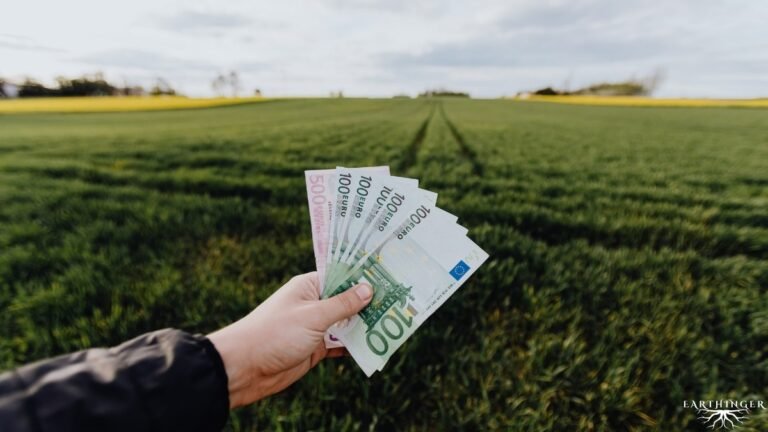 Geld Manifestieren erklärt