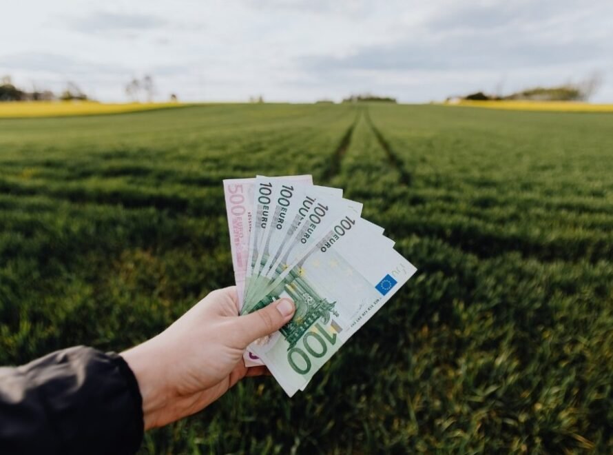 Geld Manifestieren erklärt