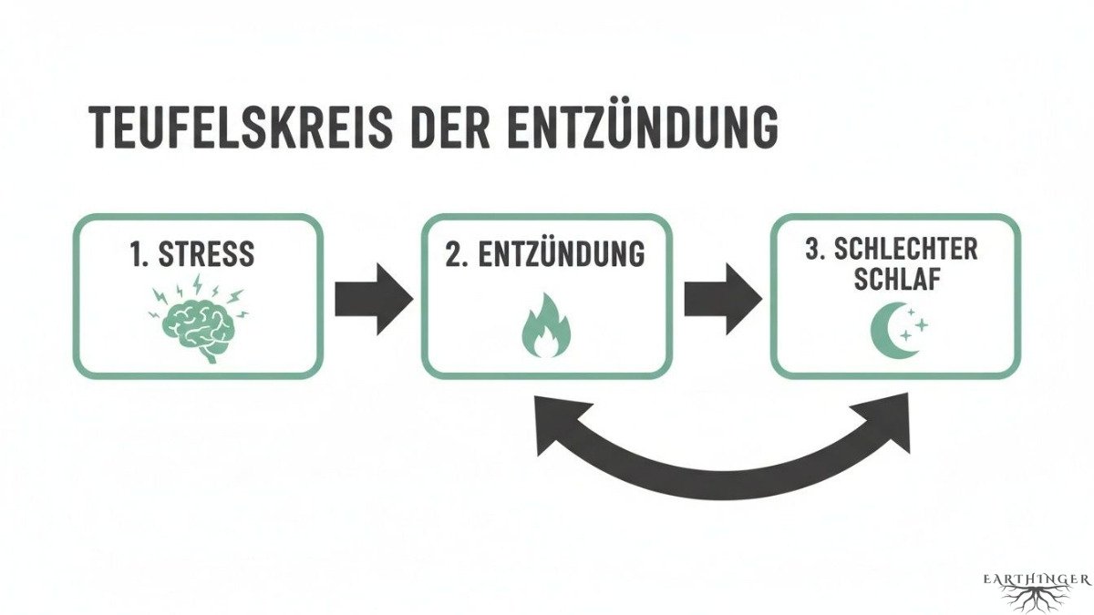 Schlechter Schlaf fördert Entzündungen